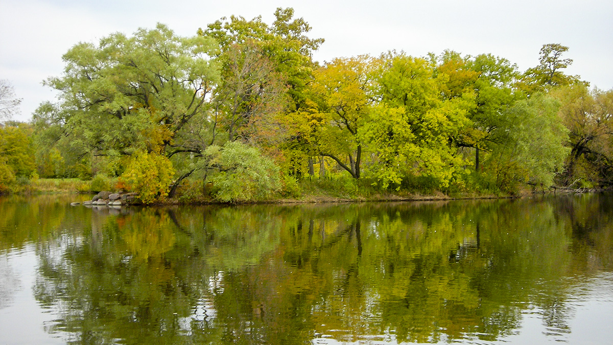 Washington Park, Chicago, IL