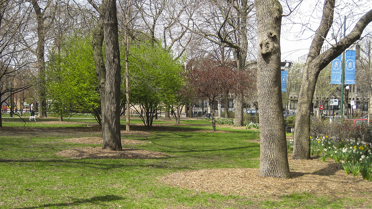 Washington Square Park - IL, Chicago, IL