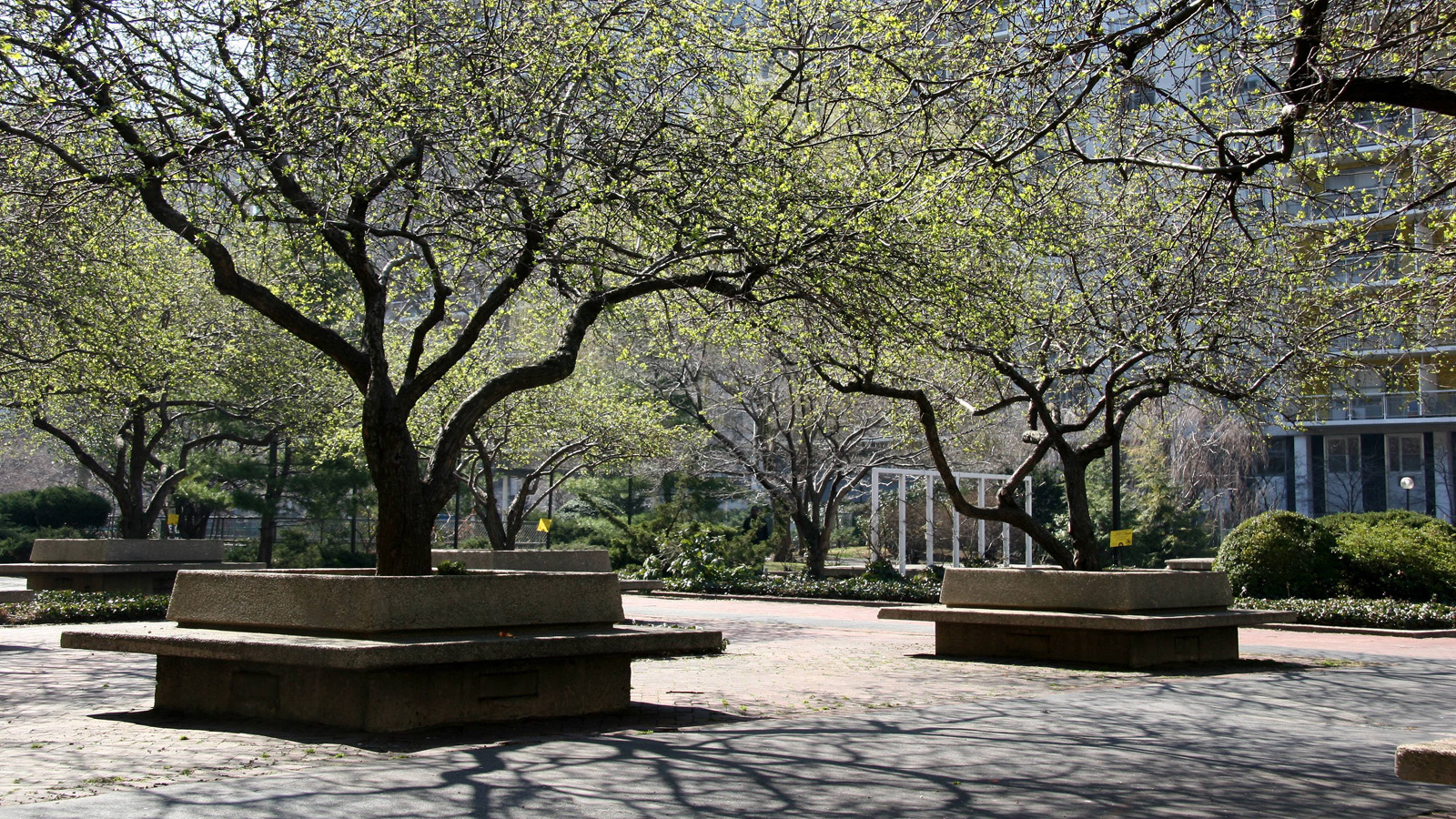 Washington Square Village The Cultural Landscape Foundation