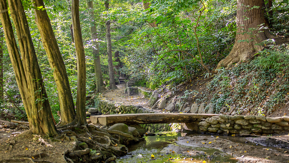 Dumbarton Oaks Park The Cultural Landscape Foundation