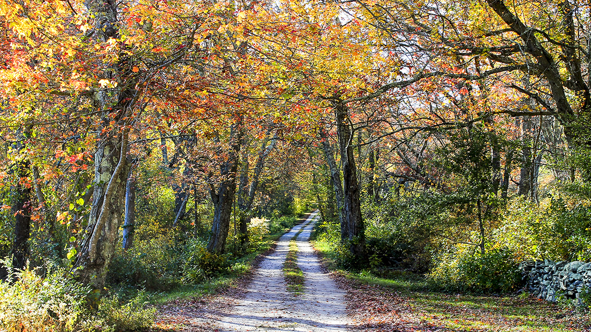 Watson Farm, Jamestown, RI