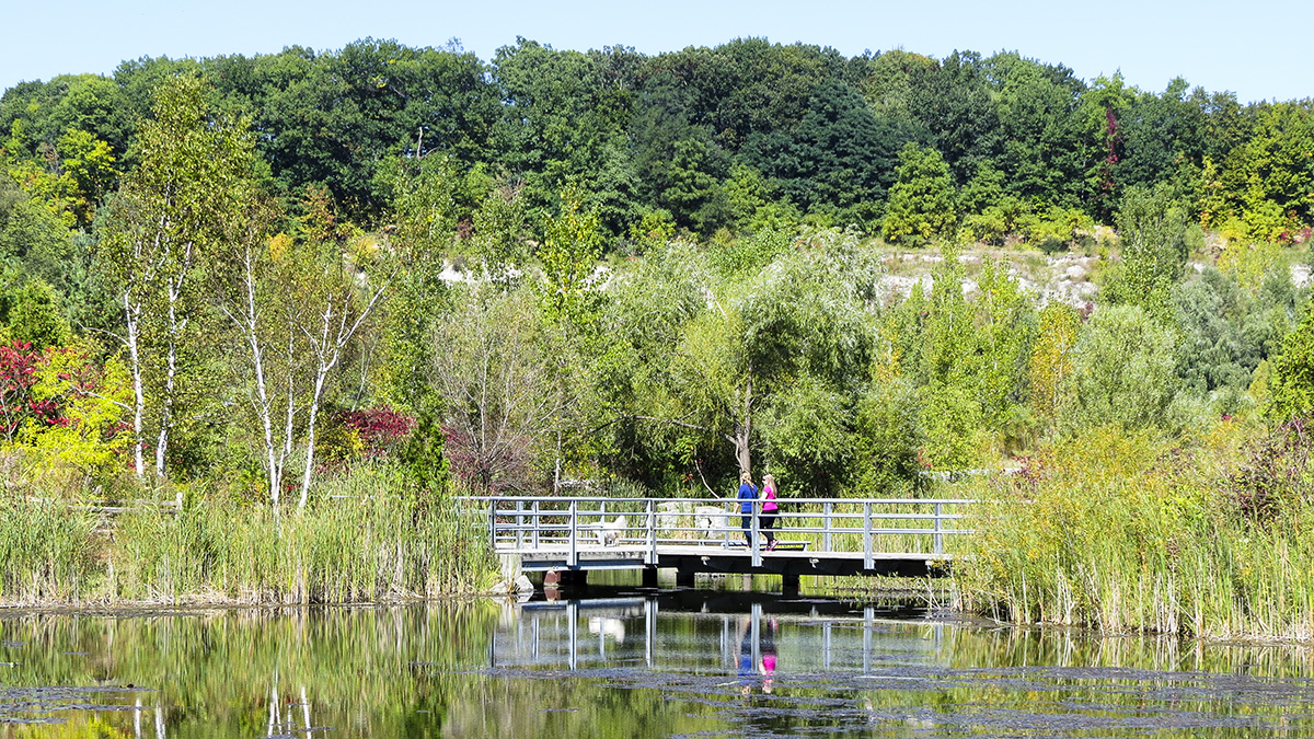 Weston Family Quarry Garden, Toronto, ON, Canada 