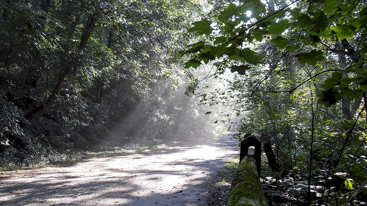 Wissahickon Valley Park Trail, Philadelphia, PA