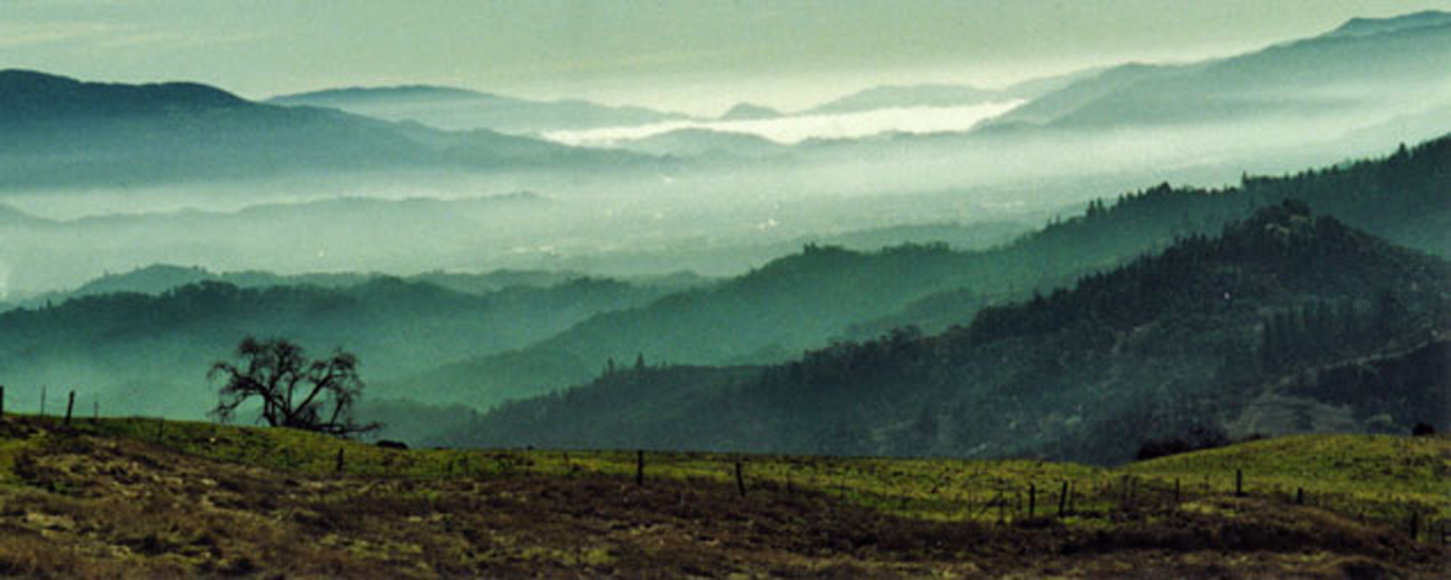 Nature Youtube Banner - nature wallpaper